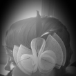 30.l�ta